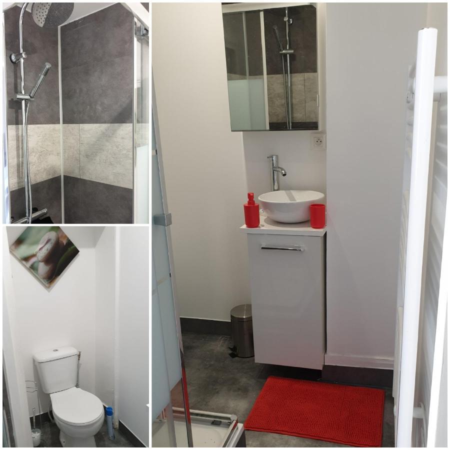 Chambres Poitiers Centre Ville - Salle De Bain, Refrigerateur, Tv Et Machine A Cafe Privatifs - Cuisine Commune - Terrasse - Hotel De Ville A 200M Buitenkant foto